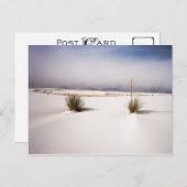 White Sands Morning postcard Briefkaart (Voorkant / Achterkant)