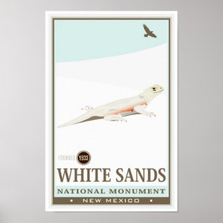 White Sands National Monument 2 Poster