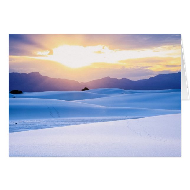 White Sands National Monument 3 (Voorkant Horizontaal)