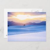 White Sands National Monument 3 Briefkaart (Voorkant / Achterkant)