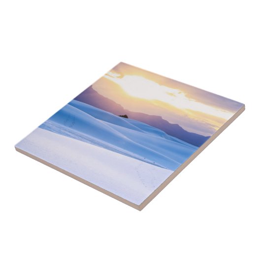 White Sands National Monument 3 Tegeltje (Zijkant)