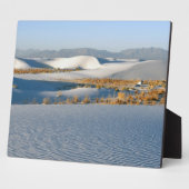 White Sands National Monument, dwarse duinen Fotoplaat (Zijkant)