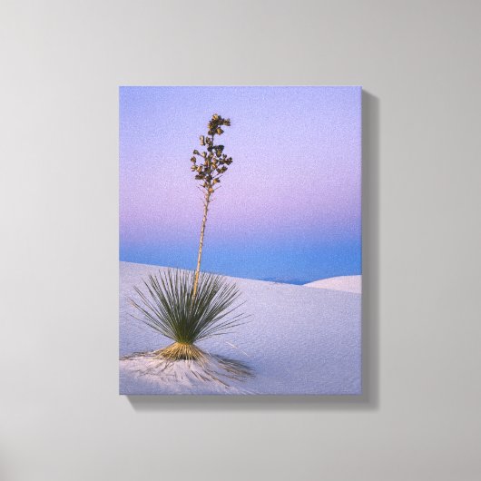 WHITE SANDS NATIONAL MONUMENT, NEW MEXICO. CANVAS AFDRUK (Voorkant)