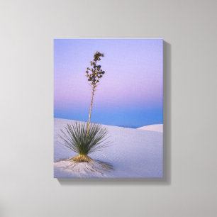 WHITE SANDS NATIONAL MONUMENT, NEW MEXICO. CANVAS AFDRUK