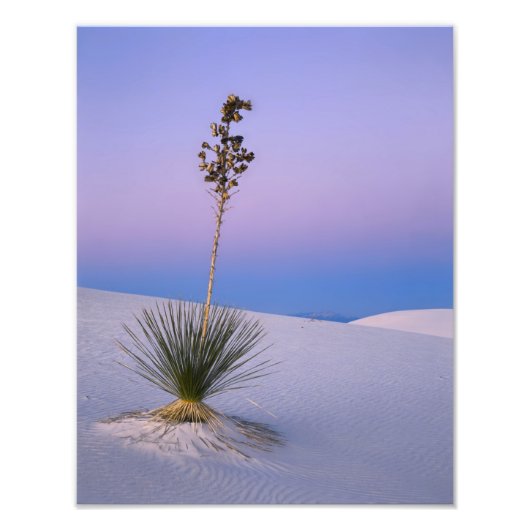 WHITE SANDS NATIONAL MONUMENT, NEW MEXICO. FOTO AFDRUK (Voorkant)