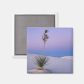 WHITE SANDS NATIONAL MONUMENT, NEW MEXICO. MAGNEET (Voorkant / Achterkant)