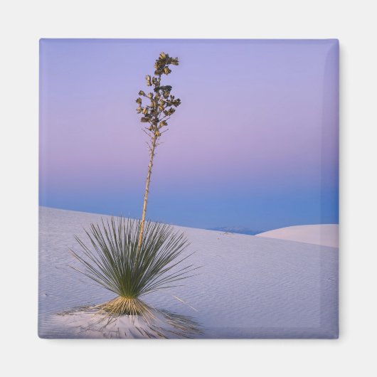WHITE SANDS NATIONAL MONUMENT, NEW MEXICO. MAGNEET (Voorkant)