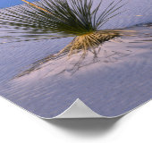 WHITE SANDS NATIONAL MONUMENT, NEW MEXICO. POSTER (Hoek)