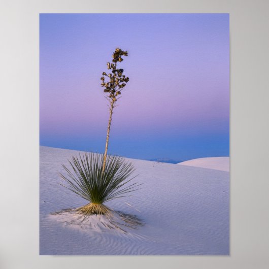 WHITE SANDS NATIONAL MONUMENT, NEW MEXICO. POSTER (Voorkant)