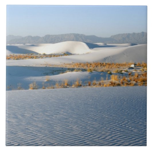 White Sands National Monument, Transverse Duinen Tegeltje (Voorkant)