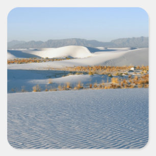 White Sands National Monument, Transverse Duinen Vierkante Sticker