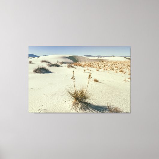 White Sands National Park Canvas Afdruk (Voorkant)