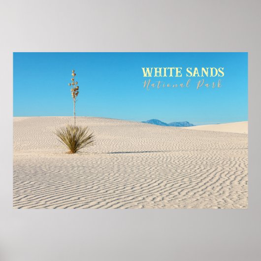 White Sands National Park Landschap met Yucca Poster (Voorkant)