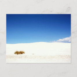 White Sands National Park, New Mexico Briefkaart