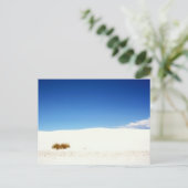 White Sands National Park, New Mexico Briefkaart (Staand voorkant)