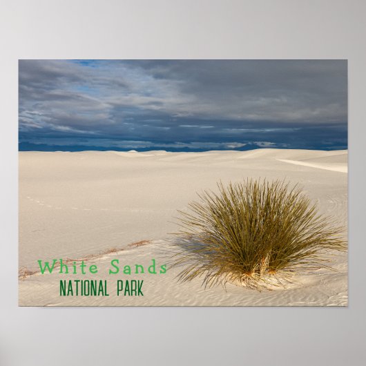 White Sands National Park Poster (Voorkant)