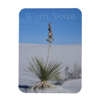 White Sands National Park Souvenir Koelkast Magneet