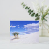 White Sands NM, New Mexico, Verenigde Staten Briefkaart (Staand voorkant)