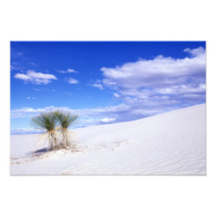White Sands NM, New Mexico, Verenigde Staten Foto Afdruk