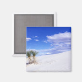 White Sands NM, New Mexico, Verenigde Staten Magneet (Voorkant / Achterkant)