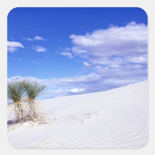 White Sands NM, New Mexico, Verenigde Staten Vierkante Sticker (Voorkant)