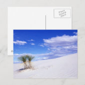 White Sands NM, New Mexico, VS Briefkaart (Voorkant / Achterkant)