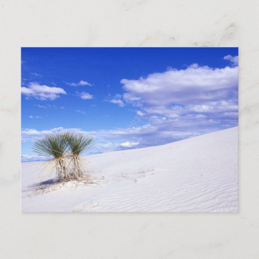 White Sands NM, New Mexico, VS Briefkaart (Voorkant)