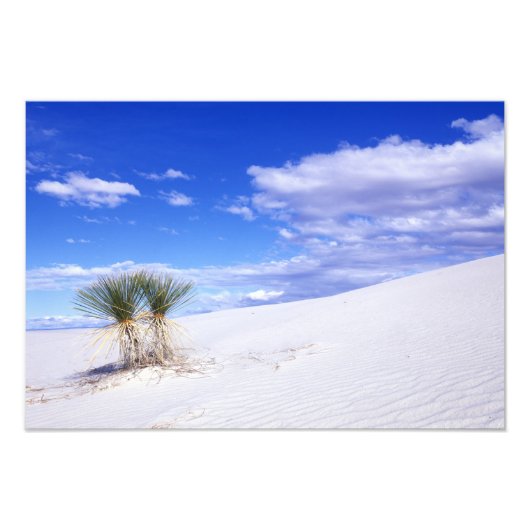 White Sands NM, New Mexico, VS Foto Afdruk (Voorkant)