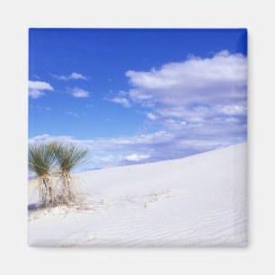 White Sands NM, New Mexico, VS Magneet