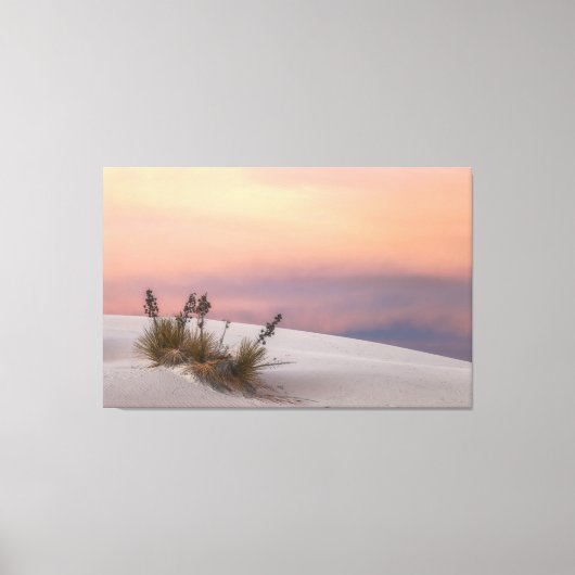 White Sands Sunset Canvas Afdruk (Voorkant)