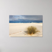 White Sands Yucca Canvas Afdruk (Voorkant)