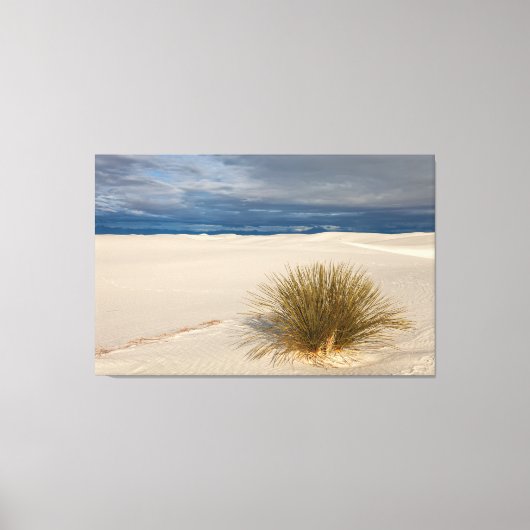 White Sands Yucca Canvas Afdruk (Voorkant)