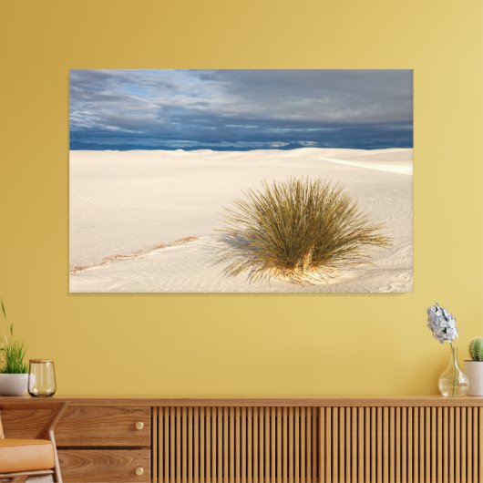 White Sands Yucca Canvas Afdruk (Insitu (Woonkamer))