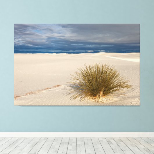 White Sands Yucca Canvas Afdruk (Insitu (Houten vloer))