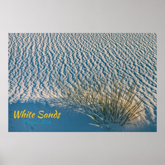 White Sands Yucca Poster (Voorkant)