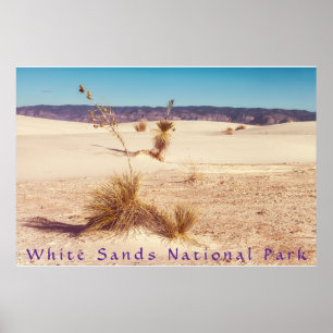 White Sands Yucca's Poster