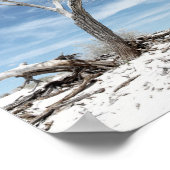 White Sands Zion National Park Poster (Hoek)