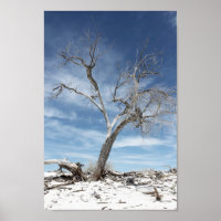 White Sands Zion National Park