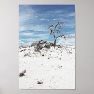White Sands Zion National Park Poster