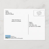 White Sandy Beach Florida Coastline Briefkaart (Achterkant)