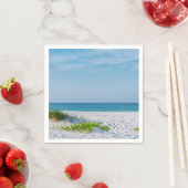 White Sandy Beach Florida Coastline Servet (Insitu)