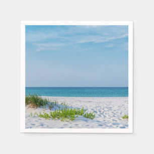 White Sandy Beach Florida Coastline Servet