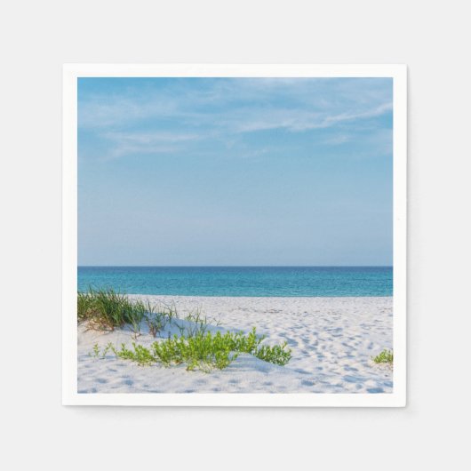 White Sandy Beach Florida Coastline Servet (Voorkant)