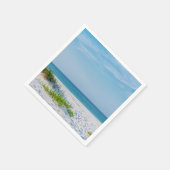 White Sandy Beach Florida Coastline Servet (Hoek)