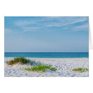 White Sandy Beach Florida Coastline Wenskaart