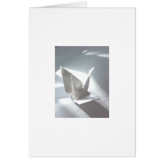 White Satin Crane (Voorkant)