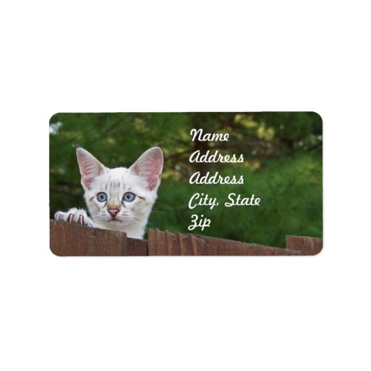 White Savannah Cat Address Sticker (Voorkant)