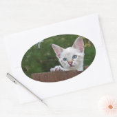 White Savannah Cat Oval Sticker (Envelop)