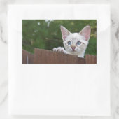 White Savannah Cat Rectangle Sticker (Tas)