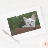 White Savannah Cat Rectangle Sticker (Envelop)